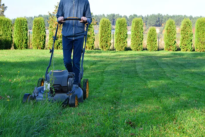 Landscaping Company in Las Cruces, NM