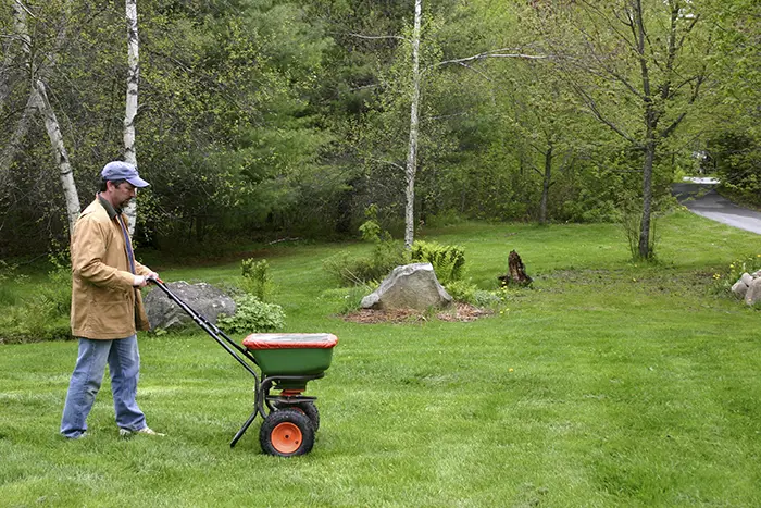 Lawn Fertilization in Las Cruces, NM