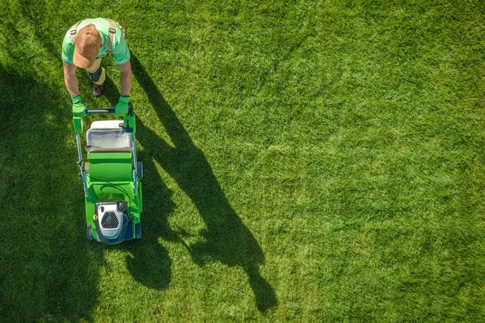 Lawn Mowing Las in Cruces, NM