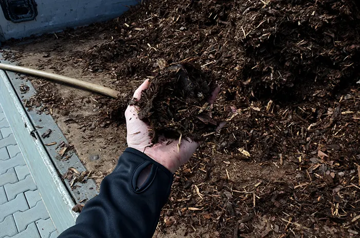 Mulching in Las Cruces, NM