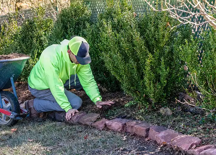 Mulching in Las Cruces, NM