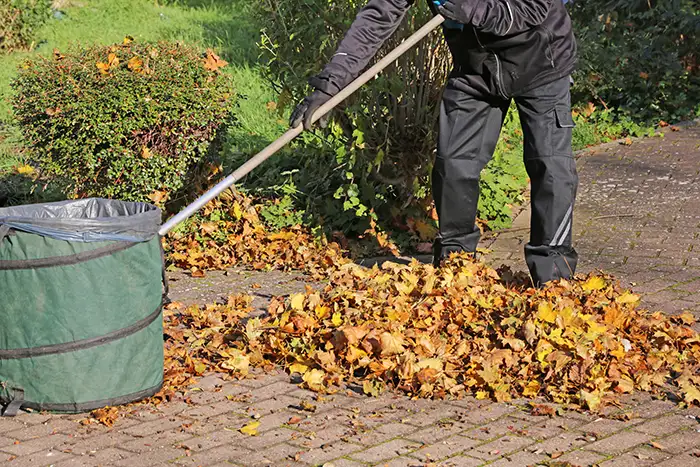 Yard Cleanup in Las Cruces, NM