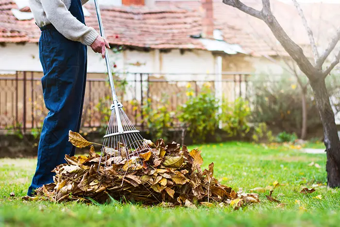 Yard Cleanup in Las Cruces, NM