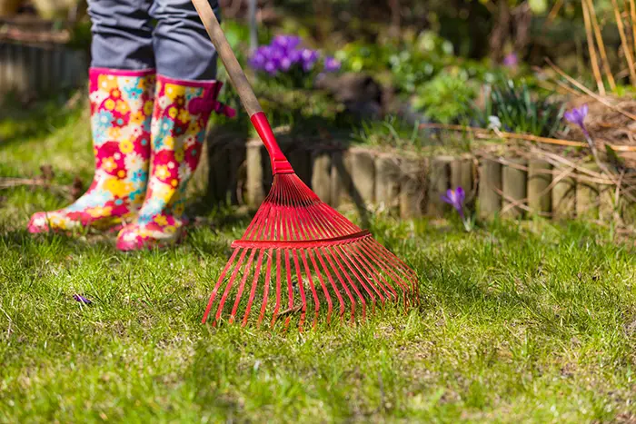 Yard Cleanup in Las Cruces, NM